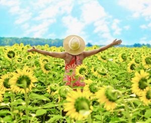 Learn to be happy again