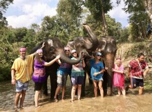 Elephant day