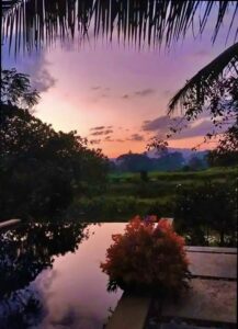 View from the pool
