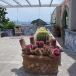 Italian Island Yoga Retreat 2026 8