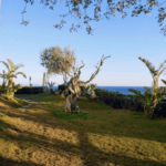 Italian Island Yoga Retreat 2026 35