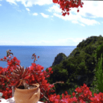 Italian Island Yoga Retreat 2026 25
