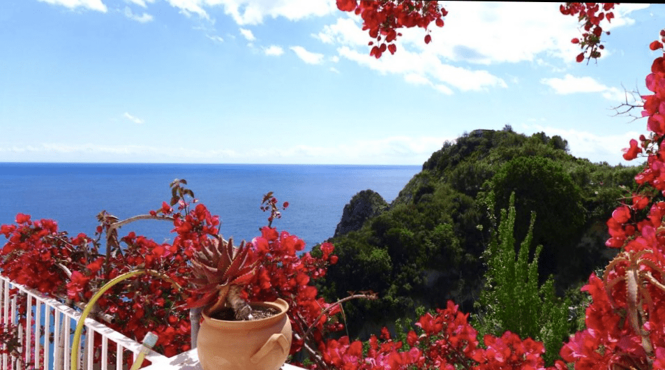 One of our beautiful views from our yoga retreat venue, Ischia Italy